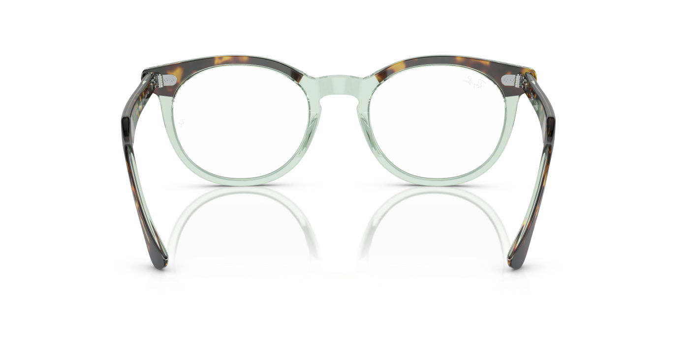 EAGLE EYE OPTICS - Havana lucioasă pe verde transparent