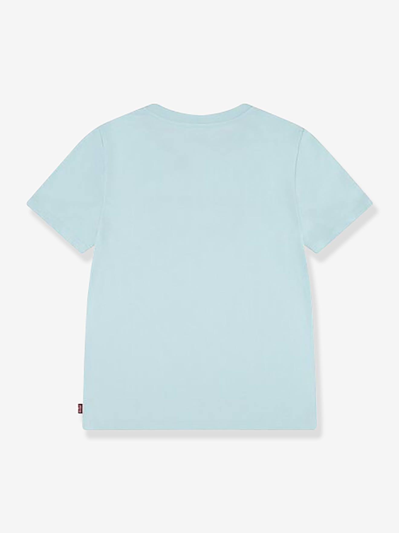 Levis Mädchen T-Shirt Batwing Levi's - mintgrün