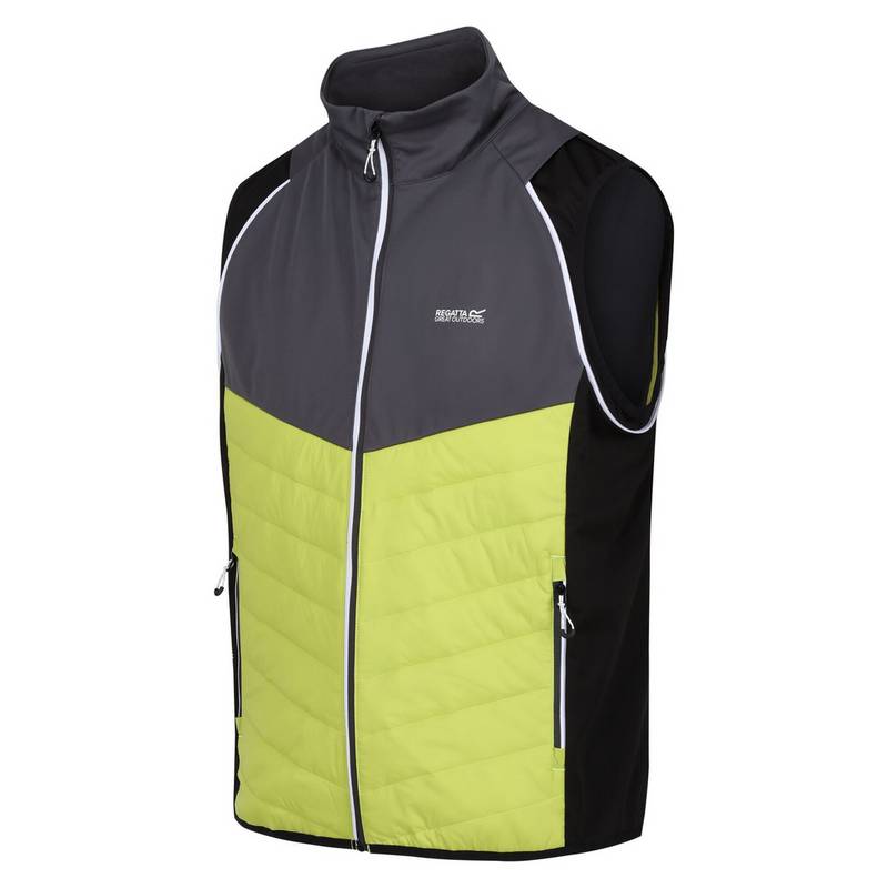 Regatta Steren Funktionsjacke Herren