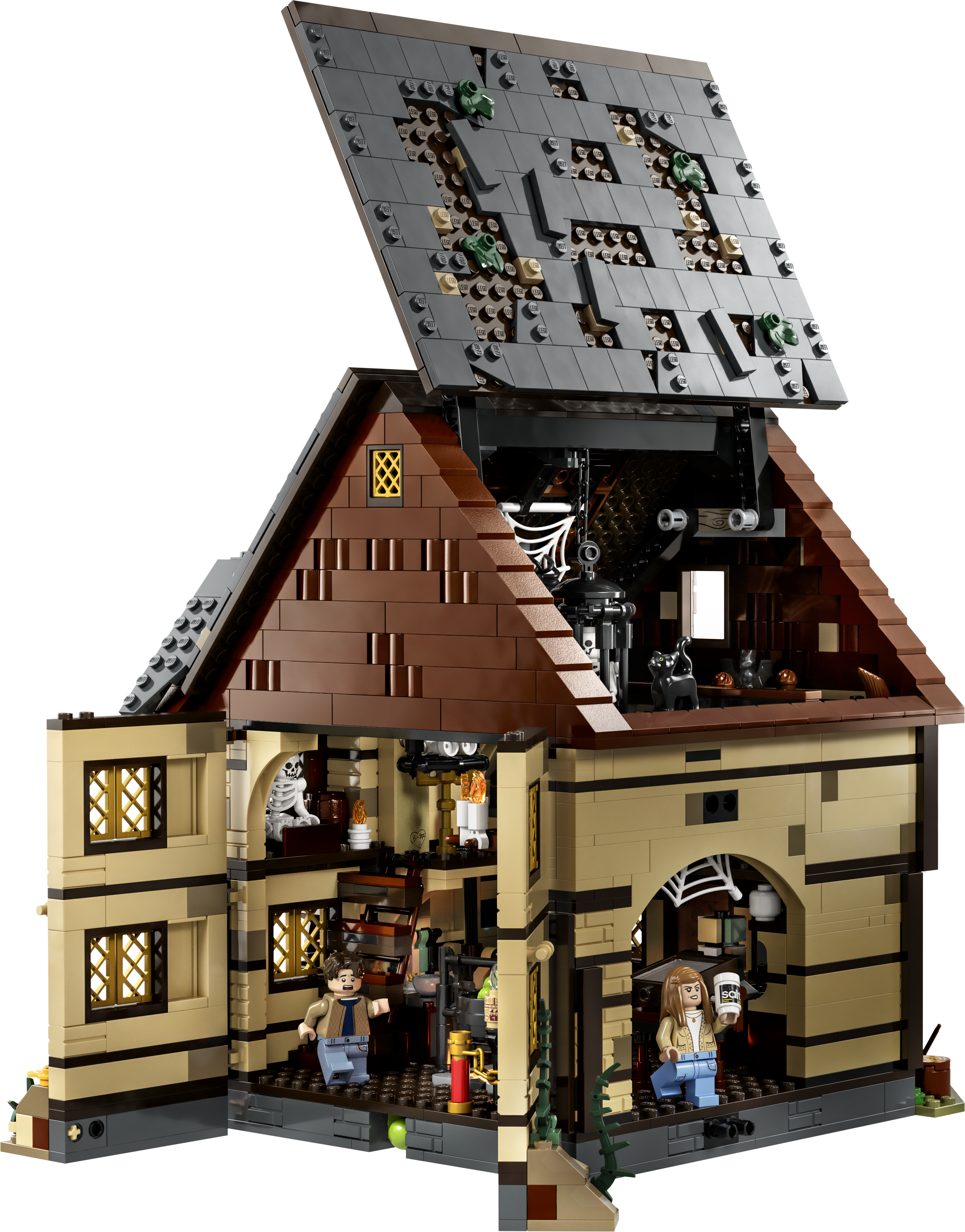 Hocus Pocus: Das Hexenhaus der Sanderson-Schwestern 21341