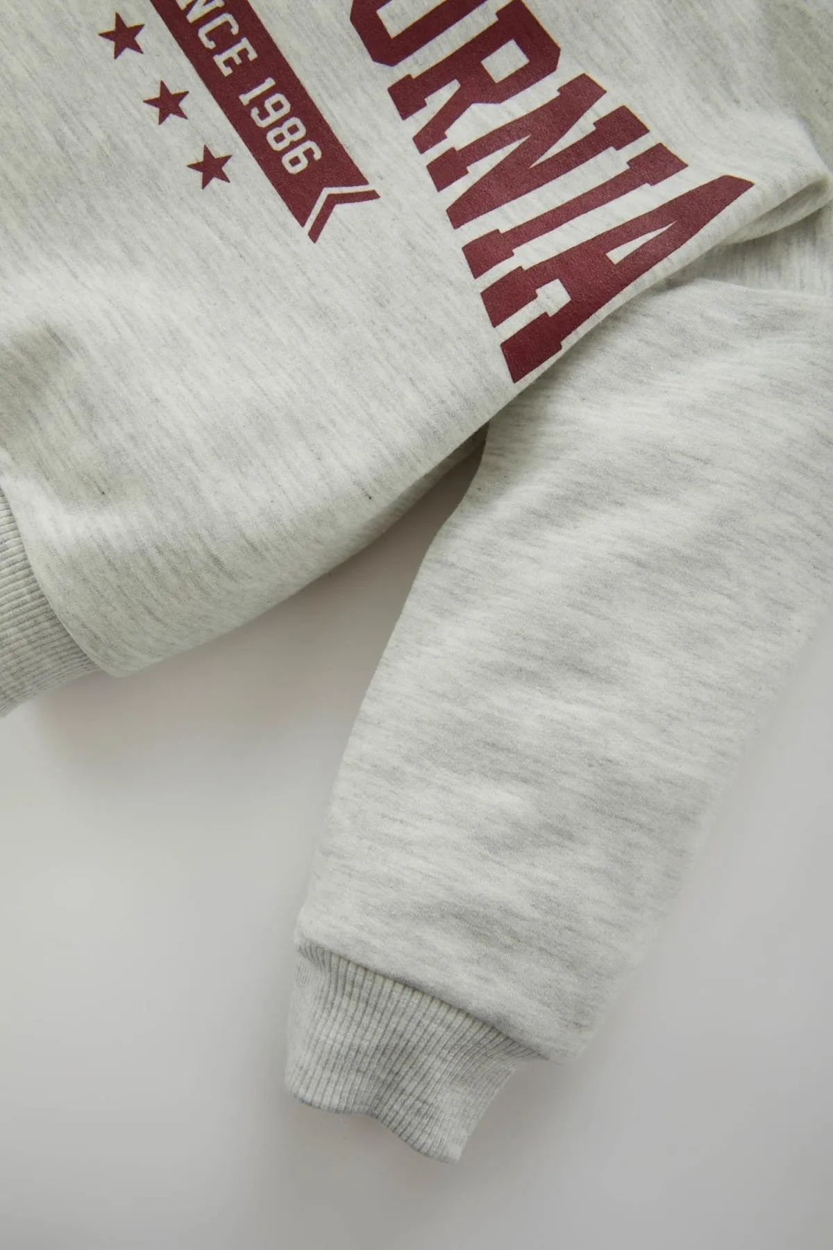 DeFacto  Bedrucktes, weich gefüttertes Sweatshirt mit Kapuze für Babys (Jungen).