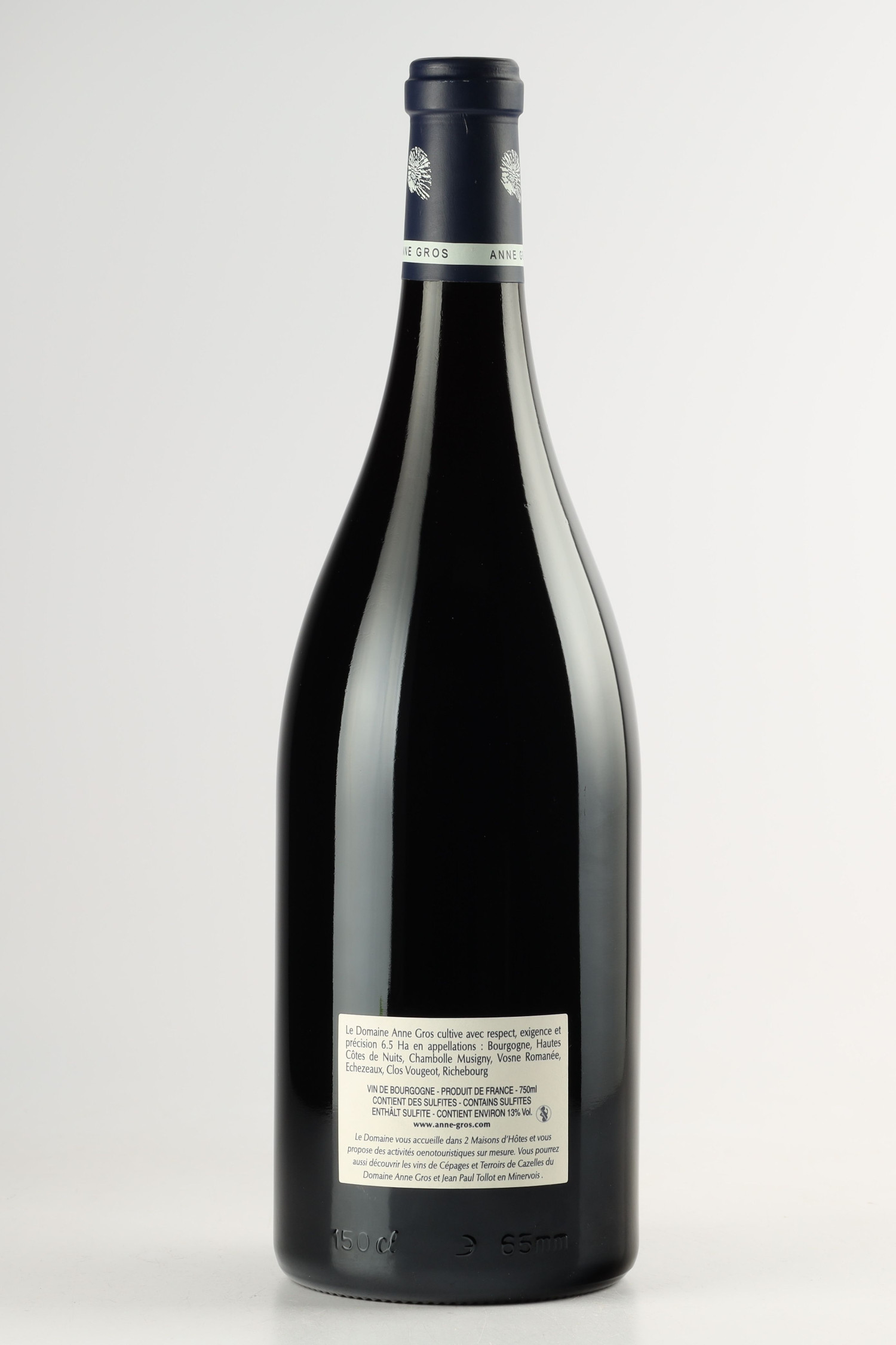 Domaine Anne Gros Echezeaux Magnum 2017, Echezeaux