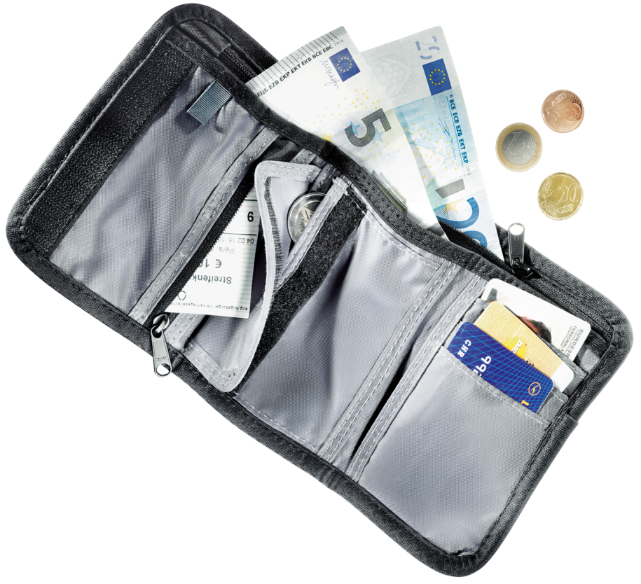 Travel Wallet