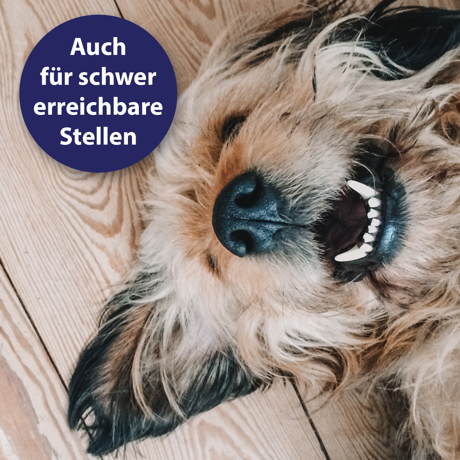 Canosept Zahnpflege Canosept 3-Kopf-Zahnbürste