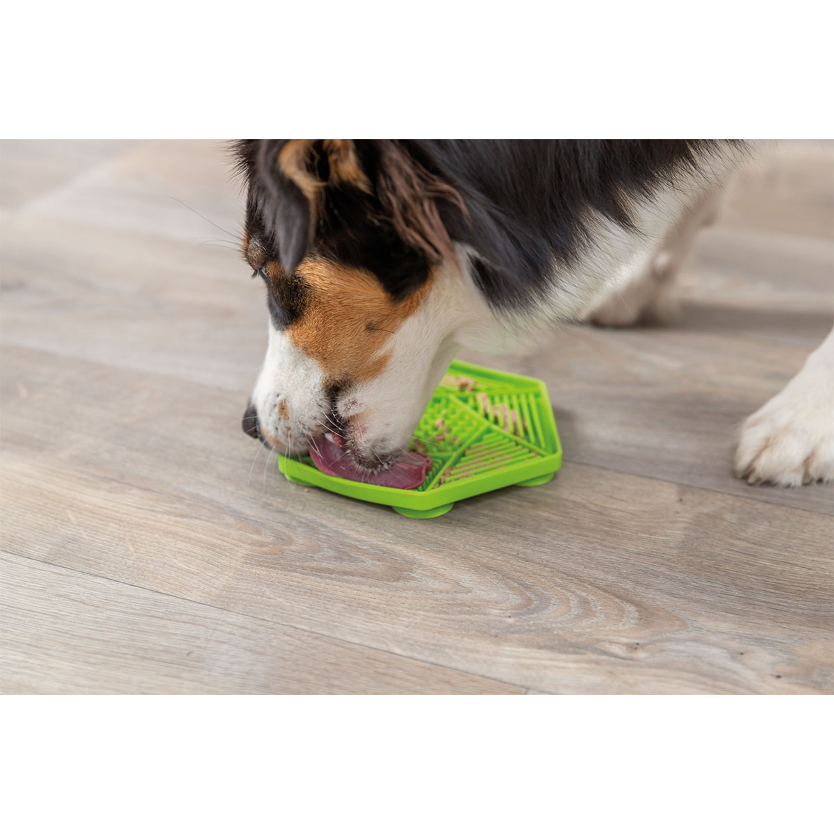 Trixie Lick'n'Snack Schleckmatte Hexagon kaufen bei ZooRoyal