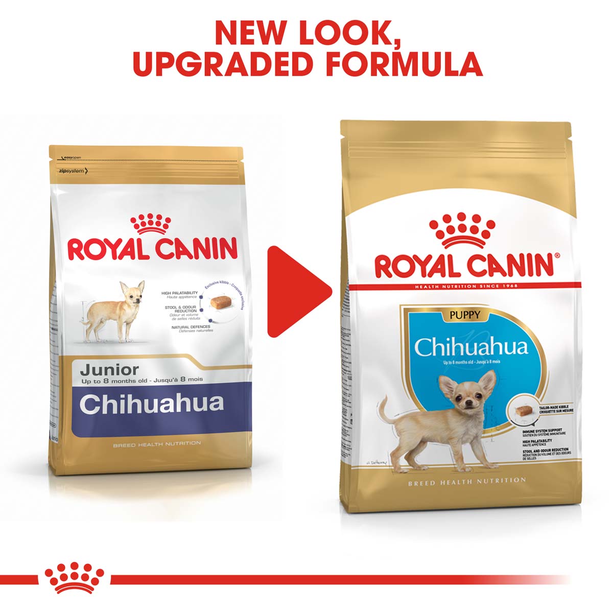 ROYAL CANIN Chihuahua Puppy Welpenfutter trocken bei ZooRoyal