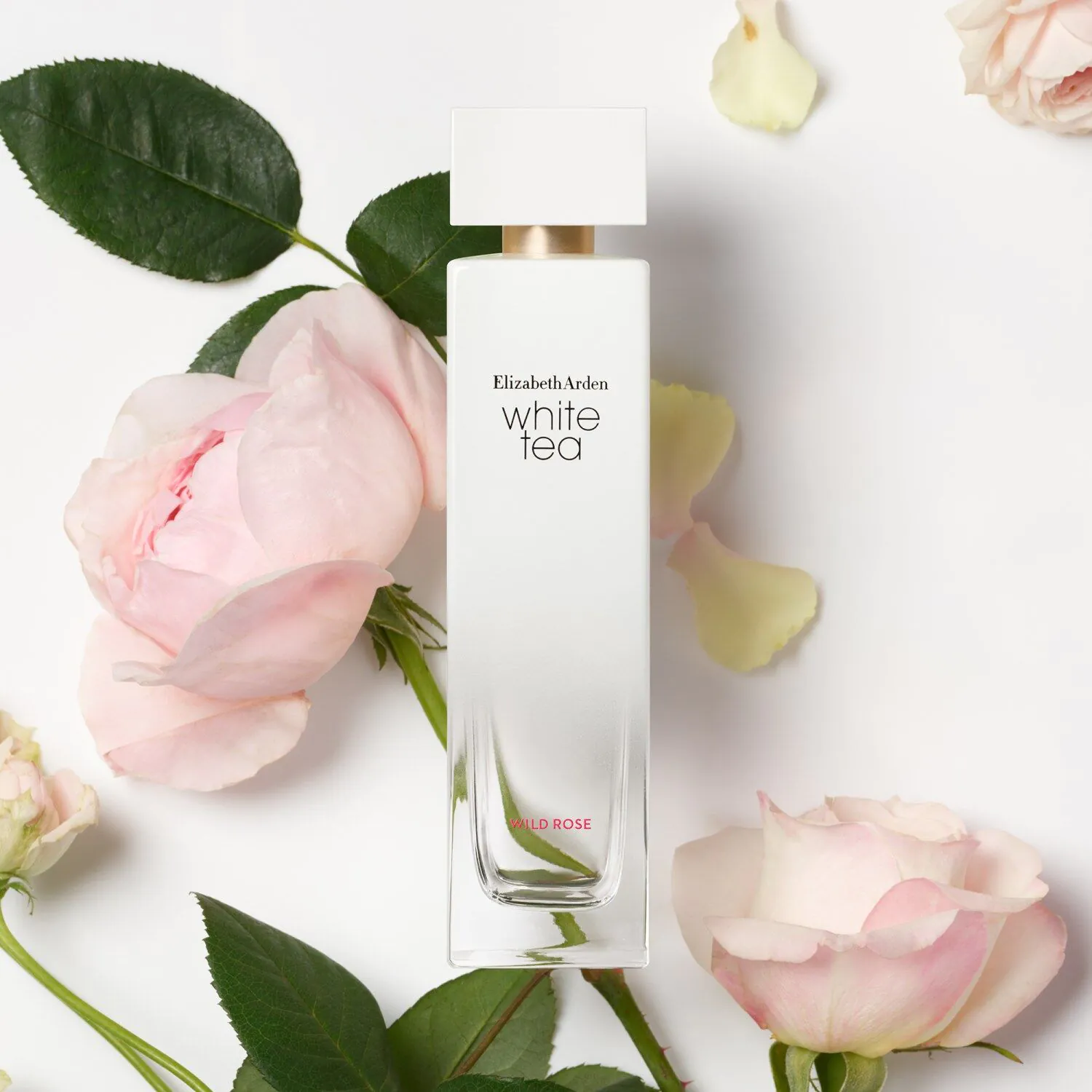 Elizabeth Arden Hvid Te Vild Rose Eau de Toilette til Kvinder 30 ml
