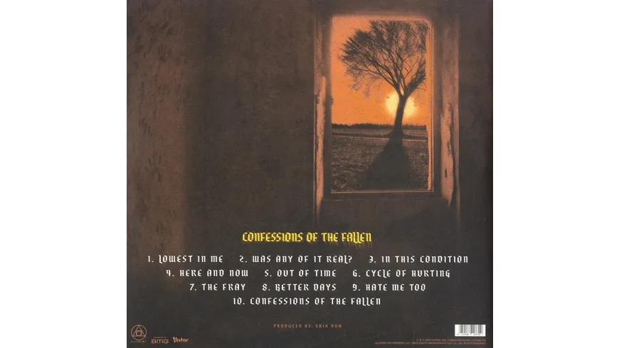 Confessions Of The Fallen Black Vinyl