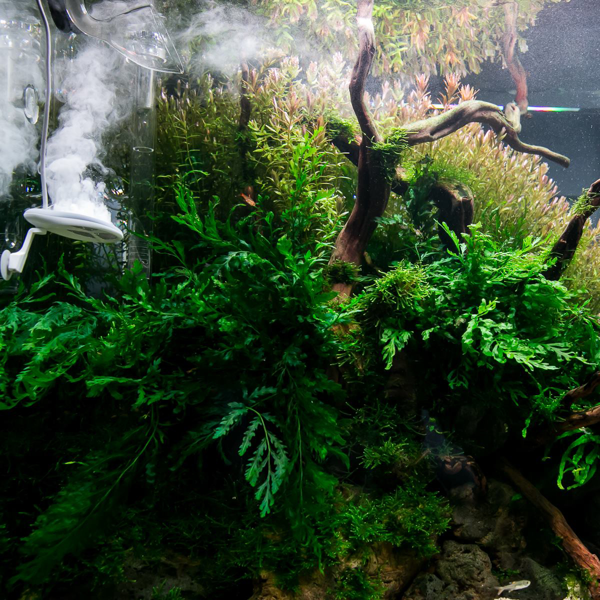 TWINSTAR 2 Aquarium-Sterilisator Nano Plus kaufen