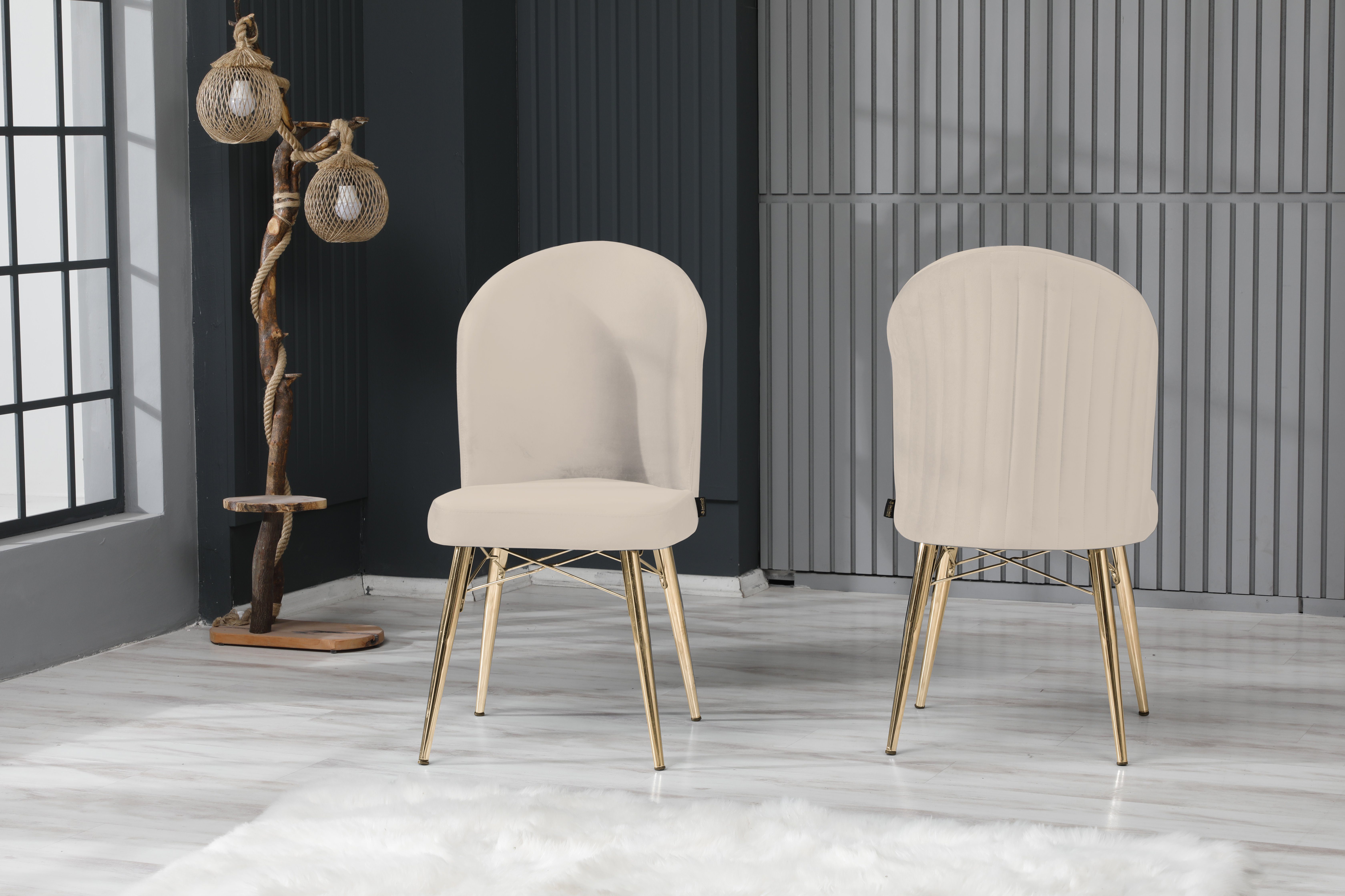INCIMO Esszimmerstuhl SUDE mit Metall Beinen in Gold Farben 2er Set (spar-Set)