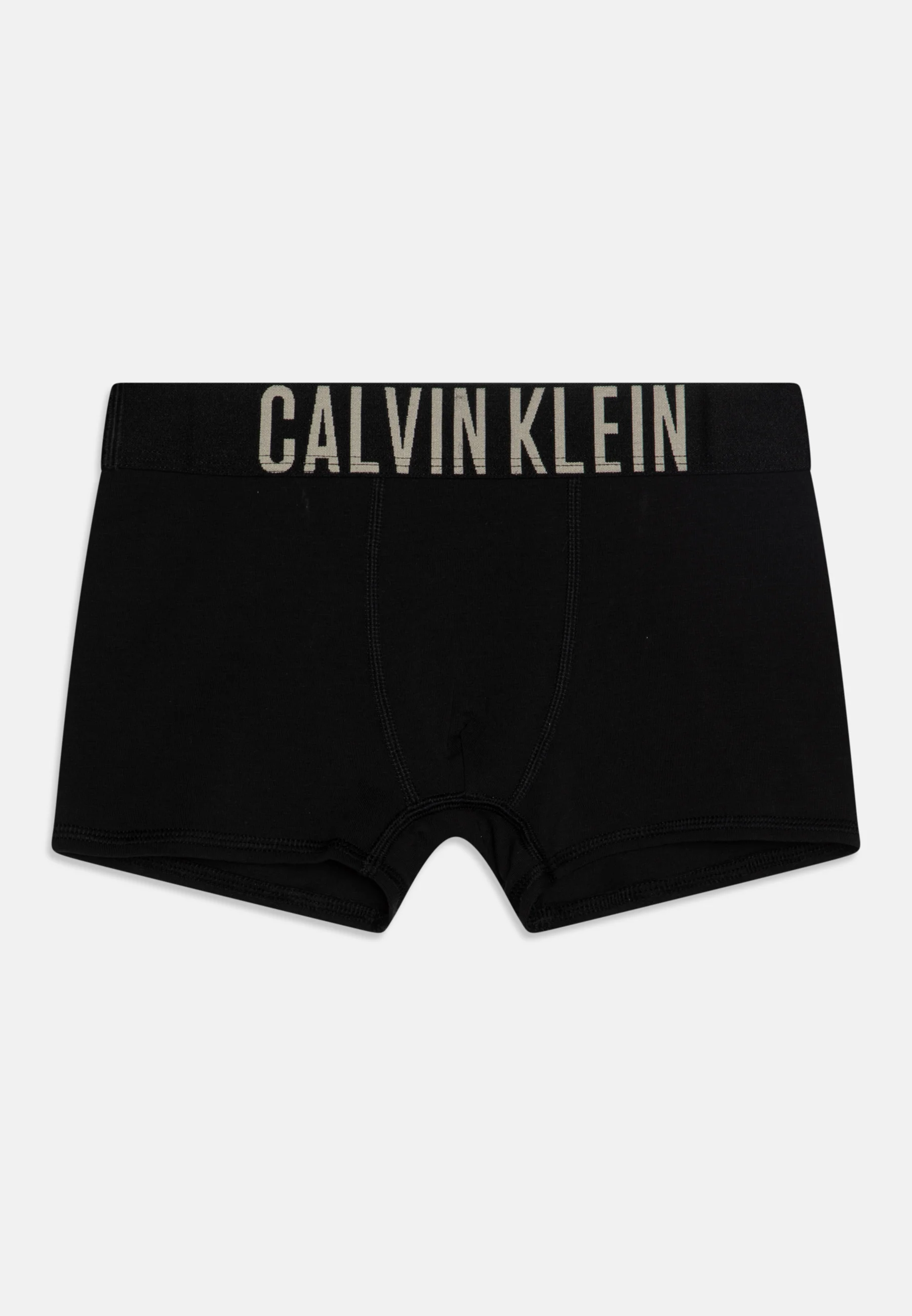 Calvin Klein Underwear TRUNK PACK DE 2 - Culotte