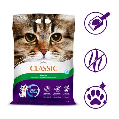 Intersand Classic Katzenstreu Pinienwald