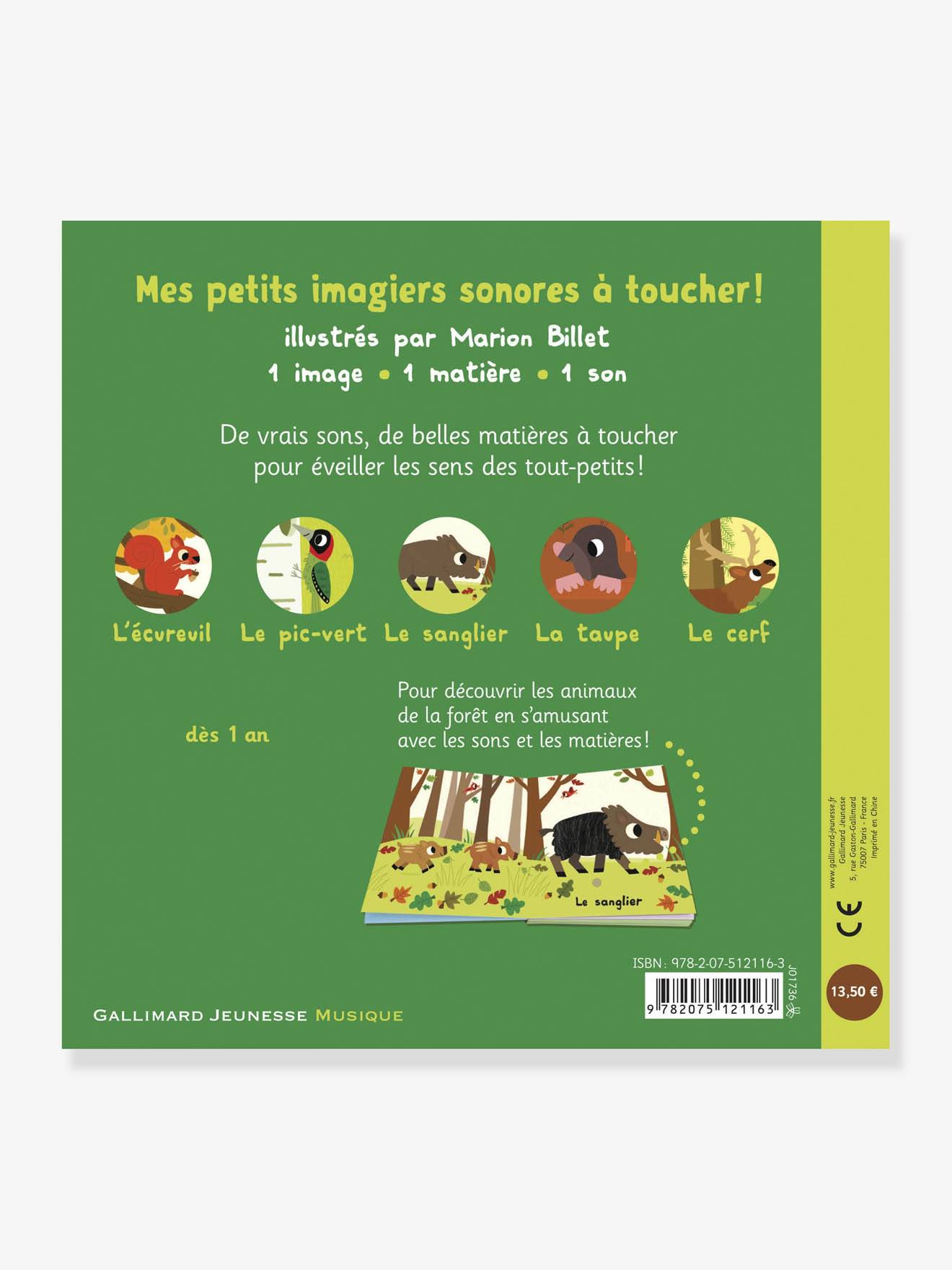 Livre sonore et tactile La forêt GALLIMARD JEUNESSE vert