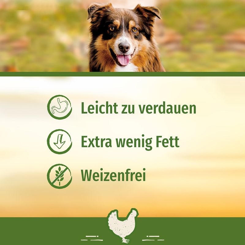 SmartBones Hundeknochen Huhn für große Hunde