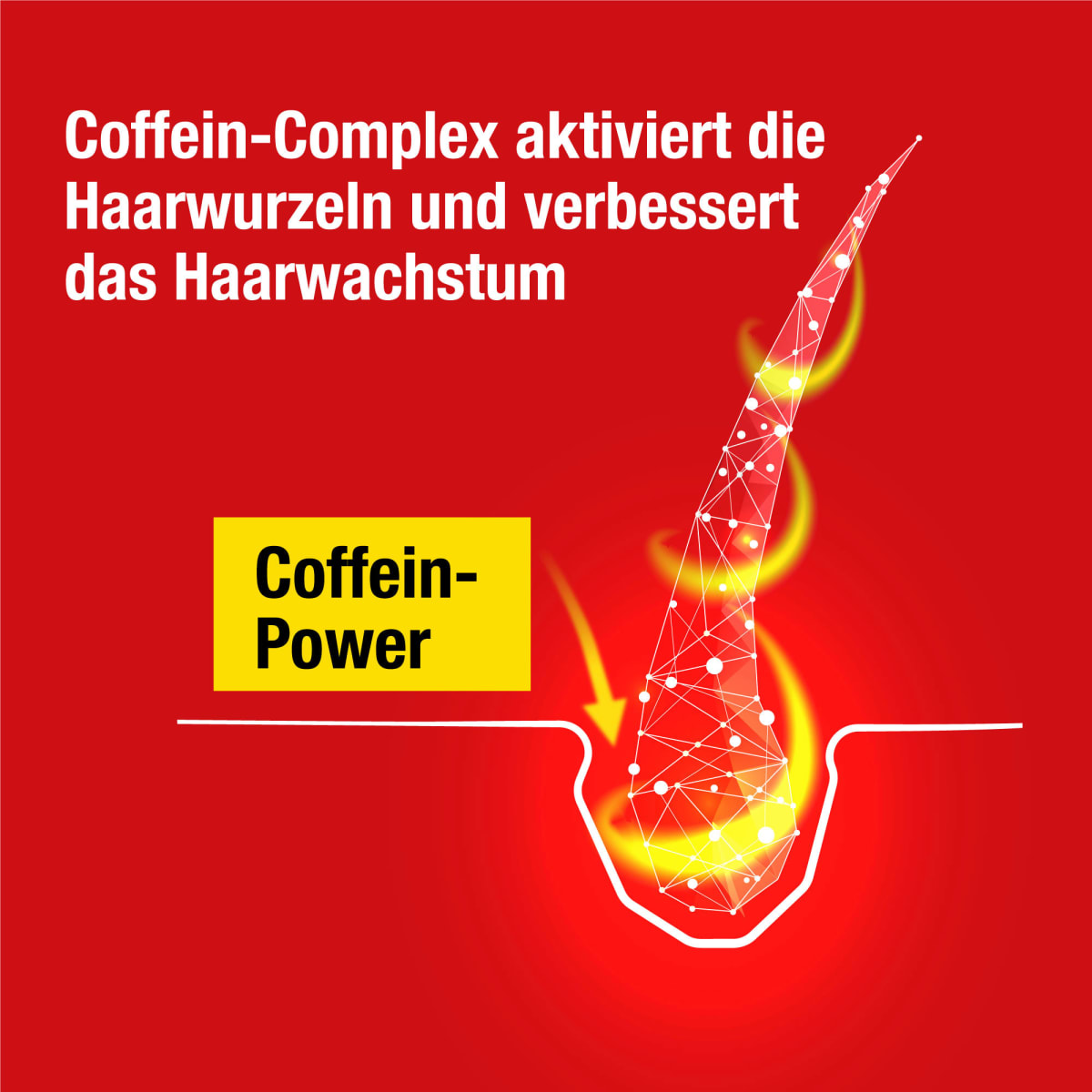 Haarwasser Coffein Liquid, 200 ml