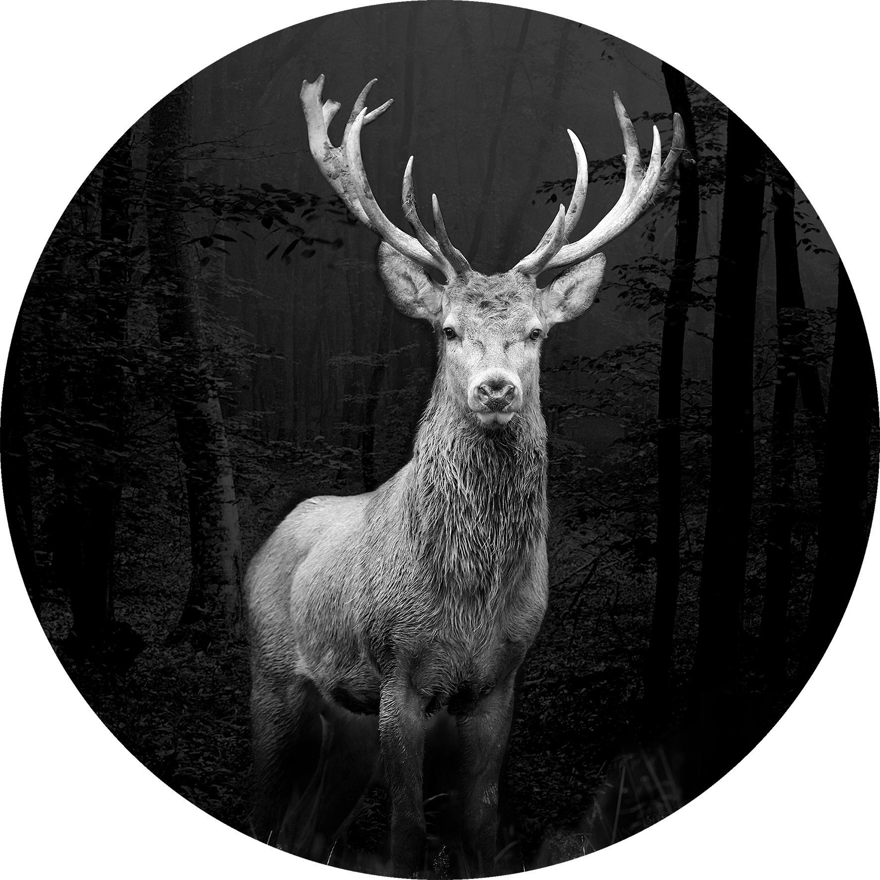 Pro ArtGlasbild rund 30cm