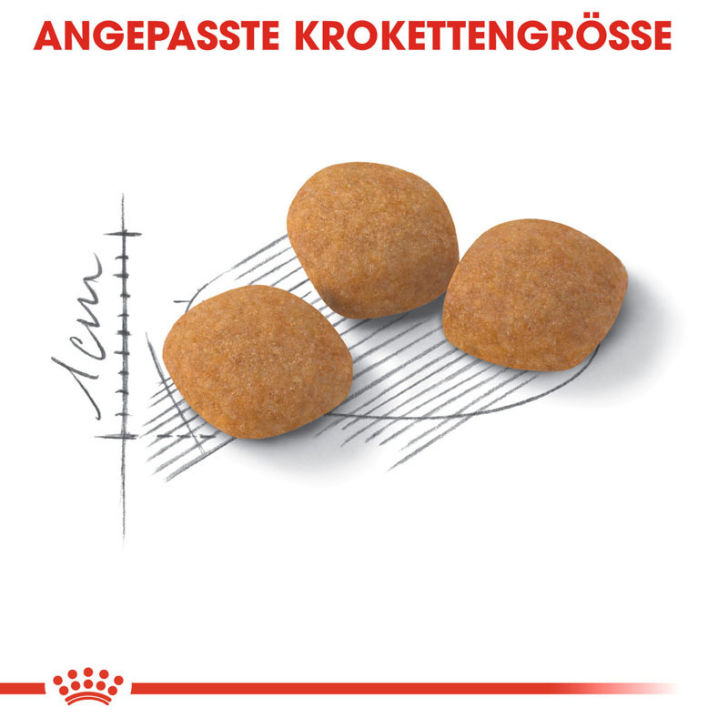 ROYAL CANIN Trockenfutter ROYAL CANIN Protein Exigent 10 kg