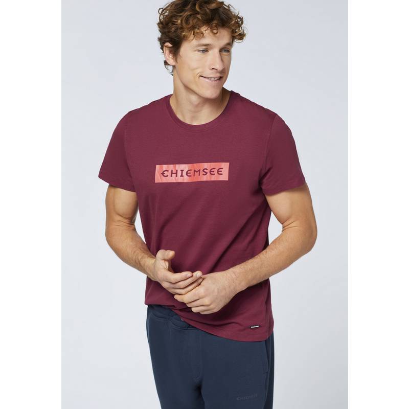 Chiemsee T-Shirt T-Shirt Herren