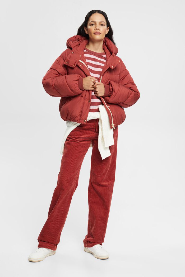 Gestreiftes Longsleeve, 100% Baumwolle