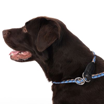 TIAKI Retrieverleine Twist