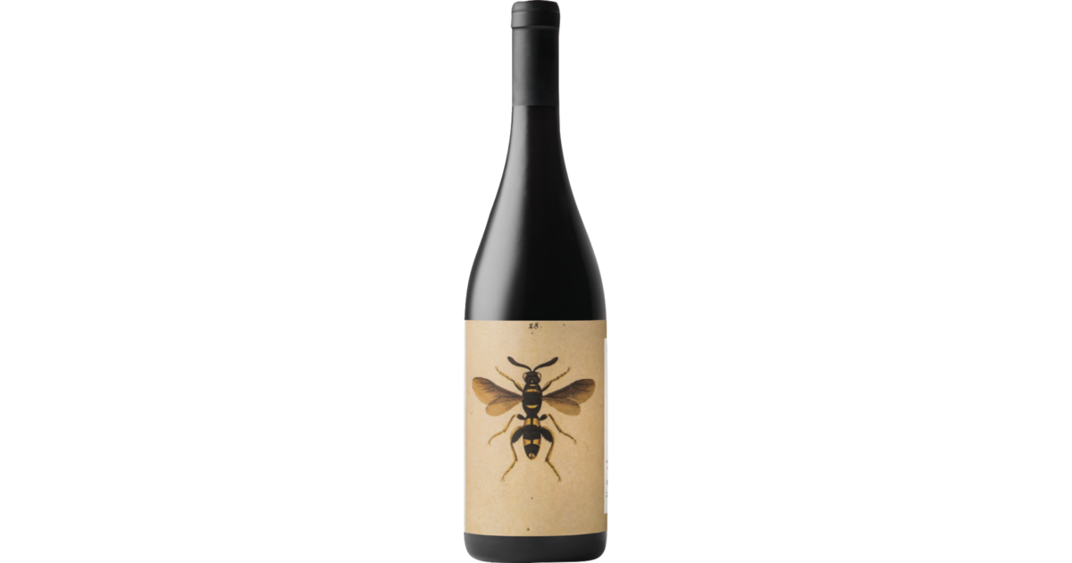 Noelia Ricci IL Sangiovese