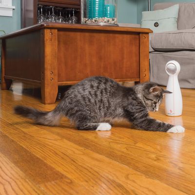 PetSafe® FroliCat® Bolt Laser Katzenspielzeug