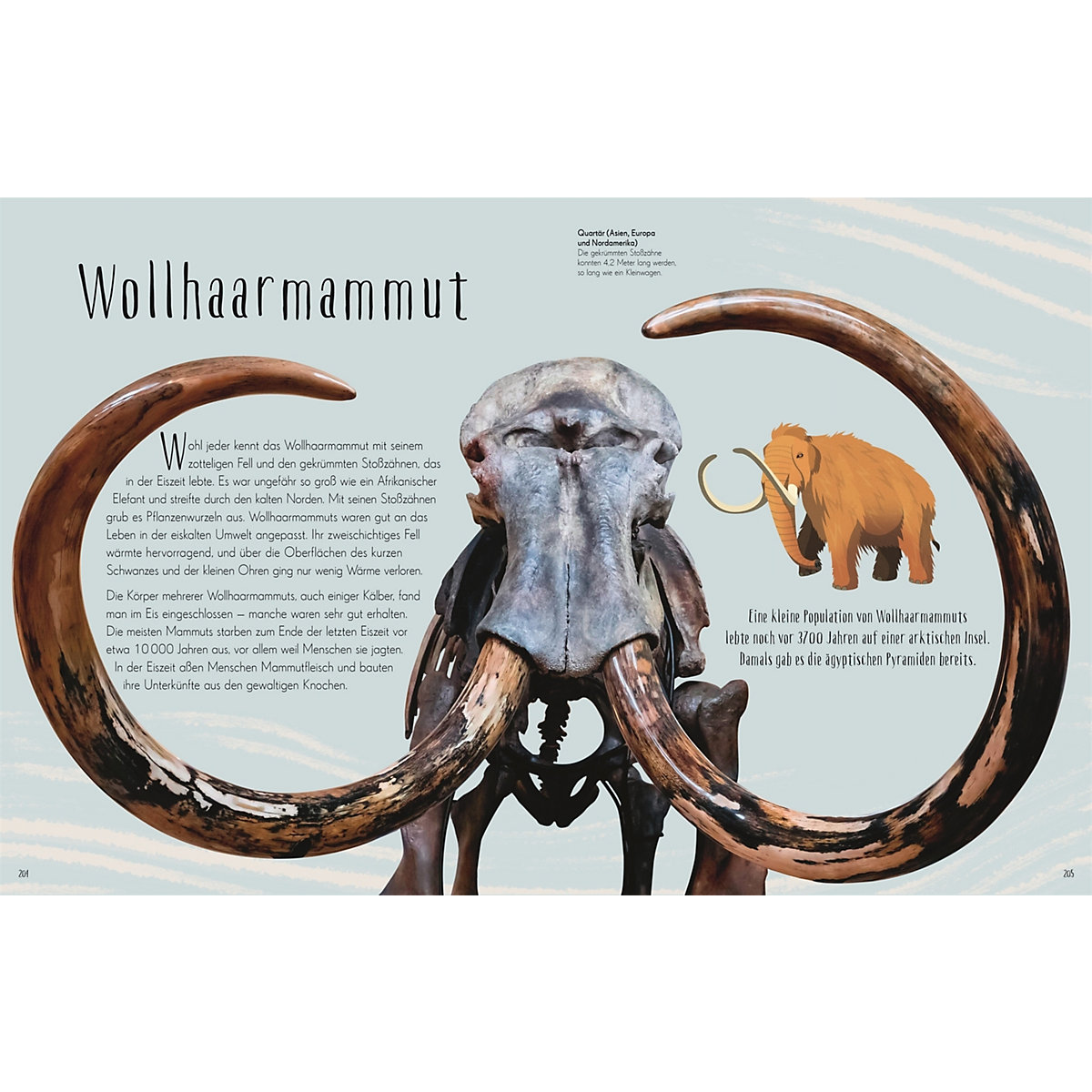 Wundervolle Welt der Dinosaurier