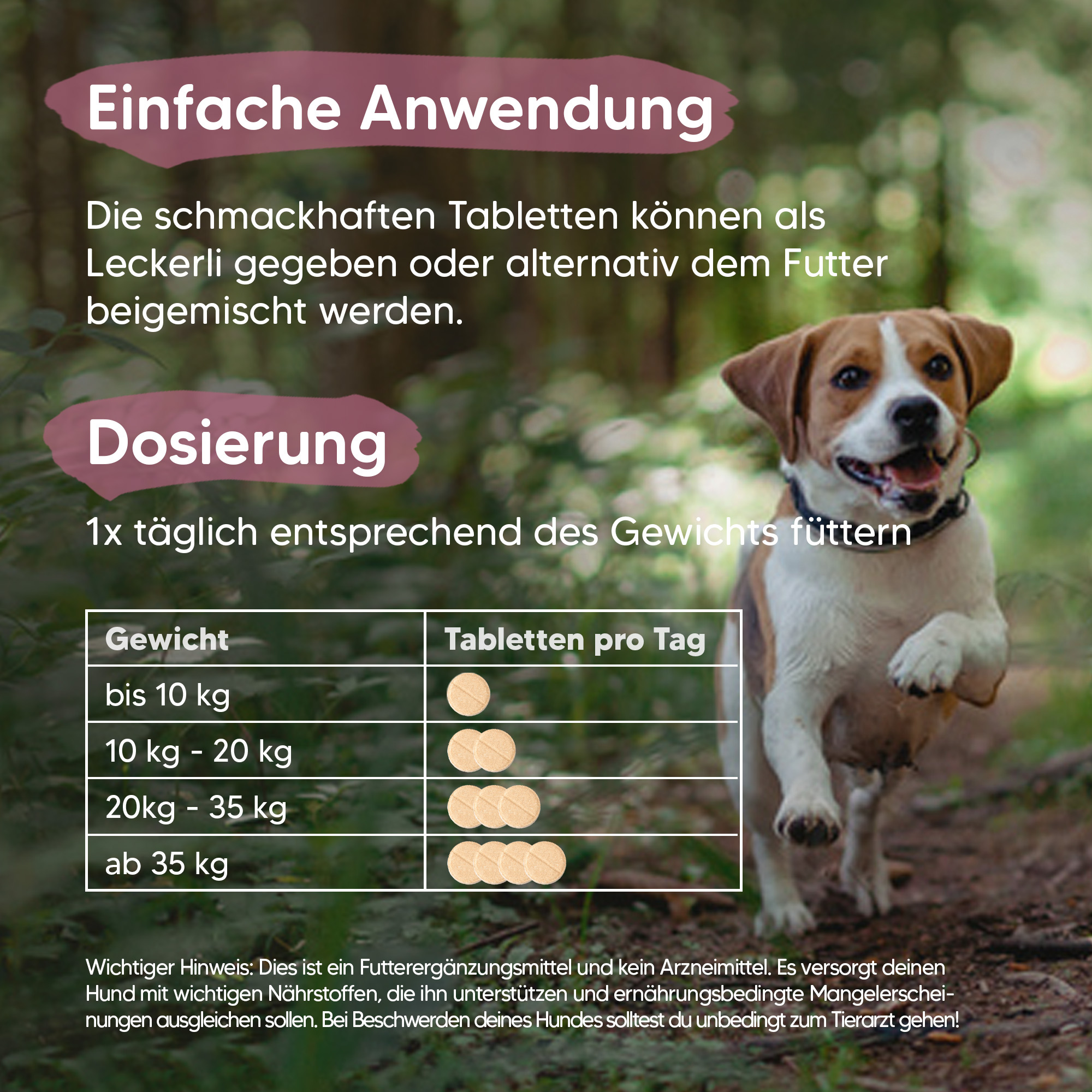 Pawlie's Ergänzungsfutter & Aufzucht Pawlie's Gelenk Fit Tabletten Hund (100 Stück)