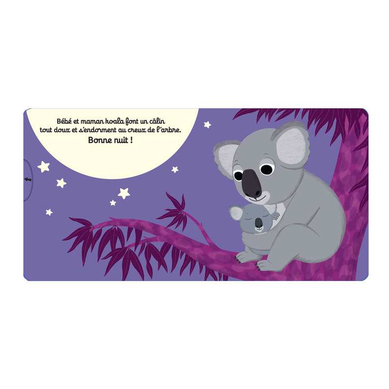 Livre Kididoc Bonne nuit bébé koala ! - Nathan Jeunesse