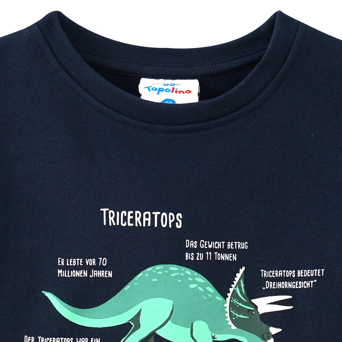 Kinder Sweatshirt mit Triceratops-Motiv