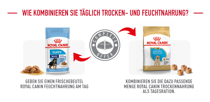 ROYAL CANIN Hundetrockenfutter ROYAL CANIN Labrador Retriever Puppy 3 kg