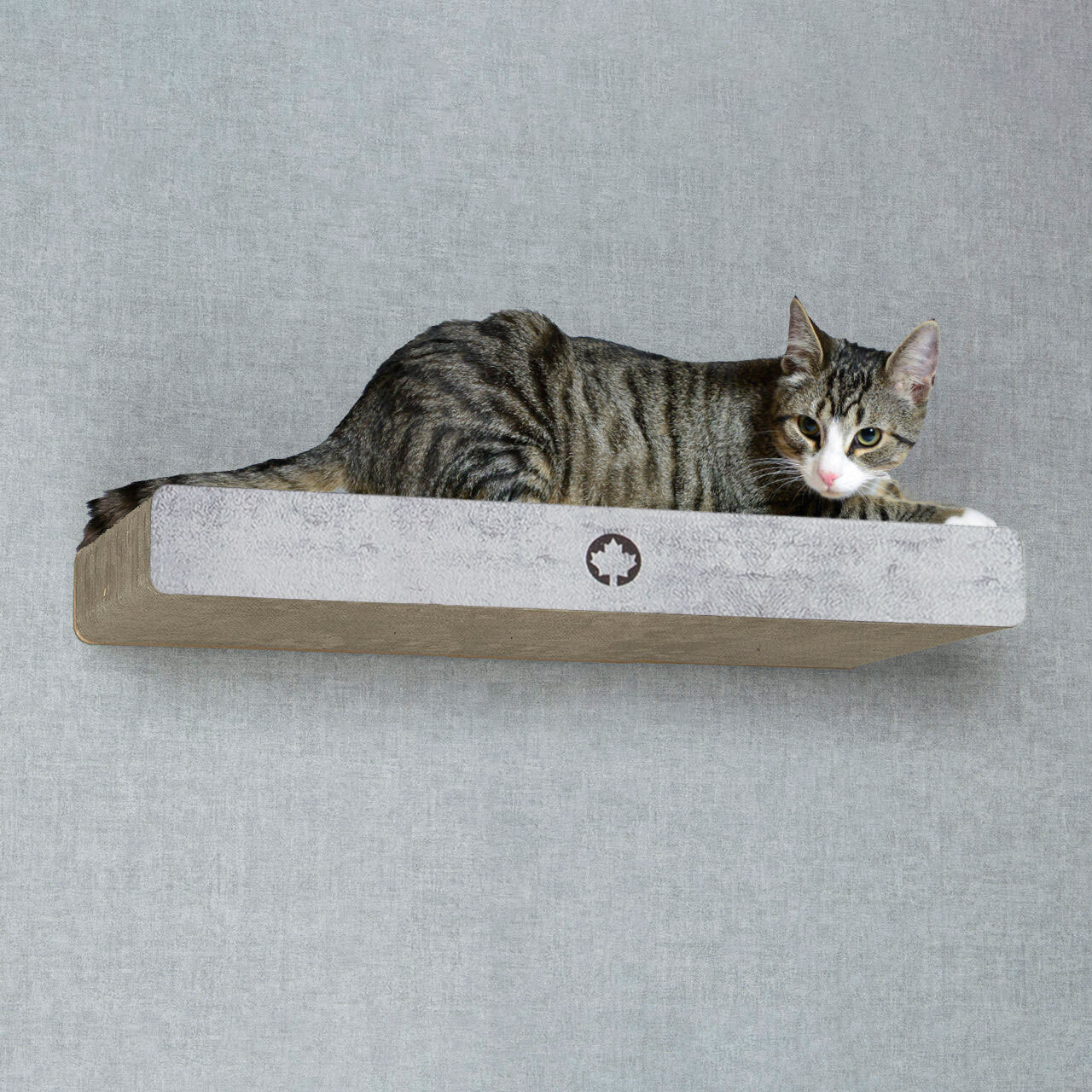 Canadian Cat Company Kratzbretter & Kratzpappen Canadian Cat Company Kratzbrett Cloud für die Wand