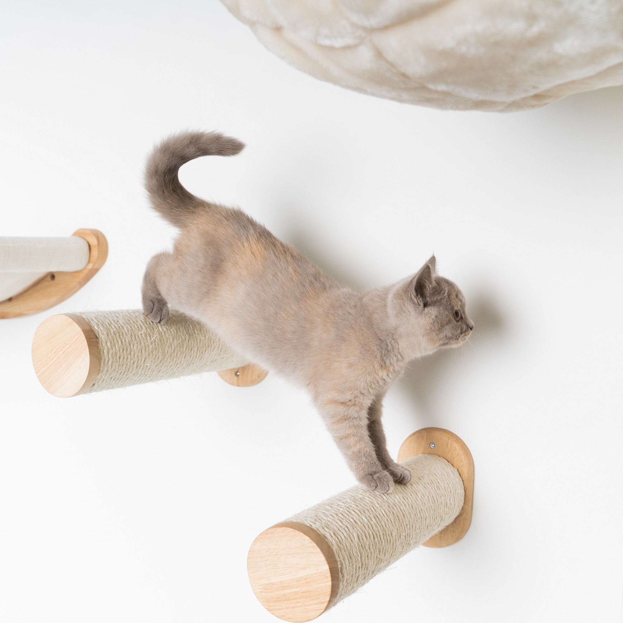 RHR Quality weiteres Katzenspielzeug RHR Quality RHRWandmöbel Wand Sisalstämmen Set creme