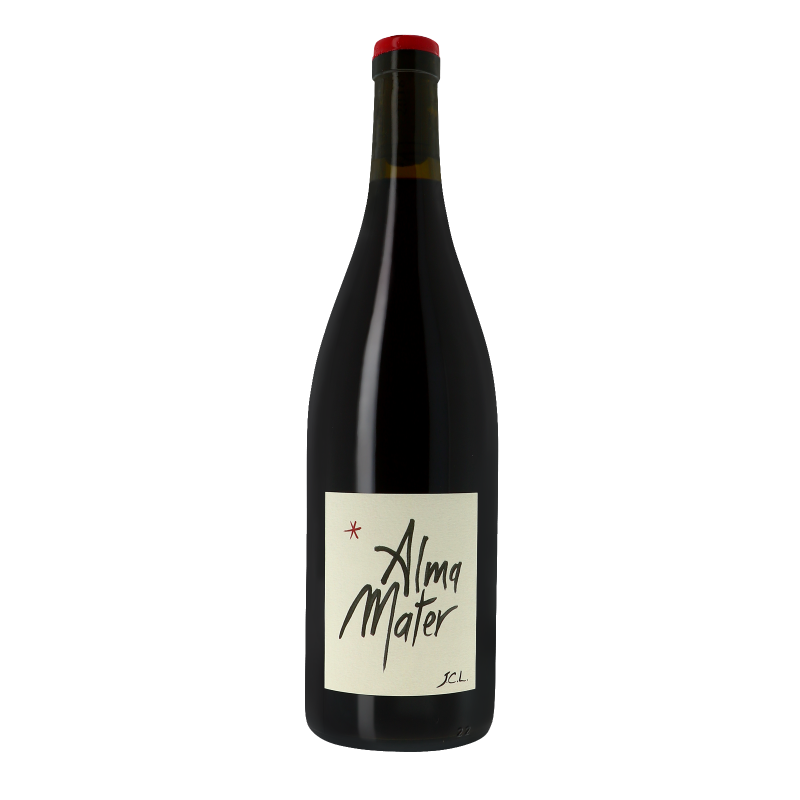 Alma Mater Amphore 2018 - Vin de France - Beaujolais - Beaujolais - Jean-Claude Lapalu (75CL.)