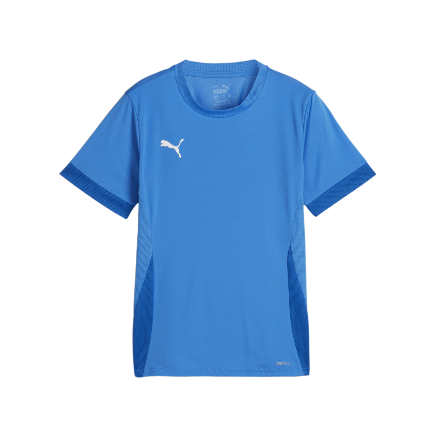 PUMA teamGOAL Matchday Trikot Kids Blau Weiss F02