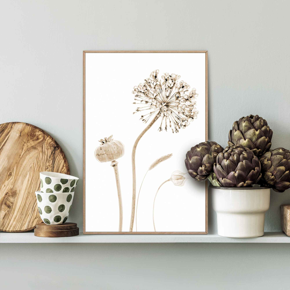 Rahmenbild Flower Stills