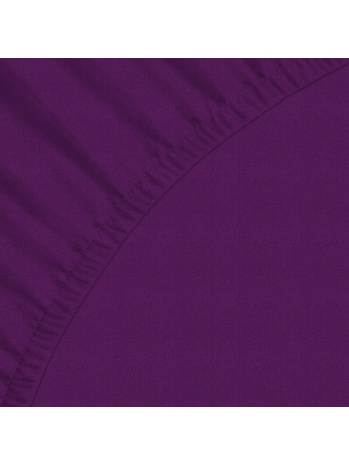 GMD Living Jersey Premium Spannbettlaken JANNEBY in Farbe Lila günstig kaufen