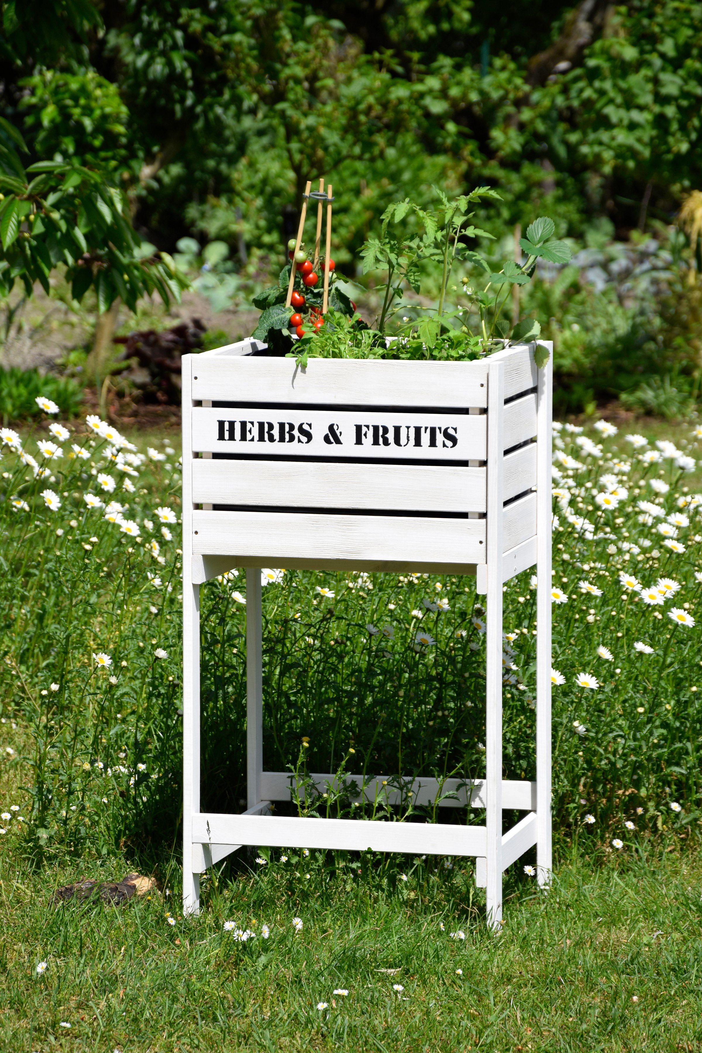dobar Hochbeet Obstkiste, BxTxH: 49x42x90 cm