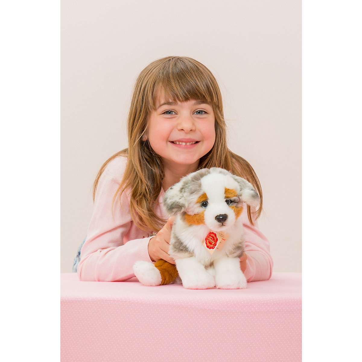 Australian Shepherd Welpe sitzend 22 cm