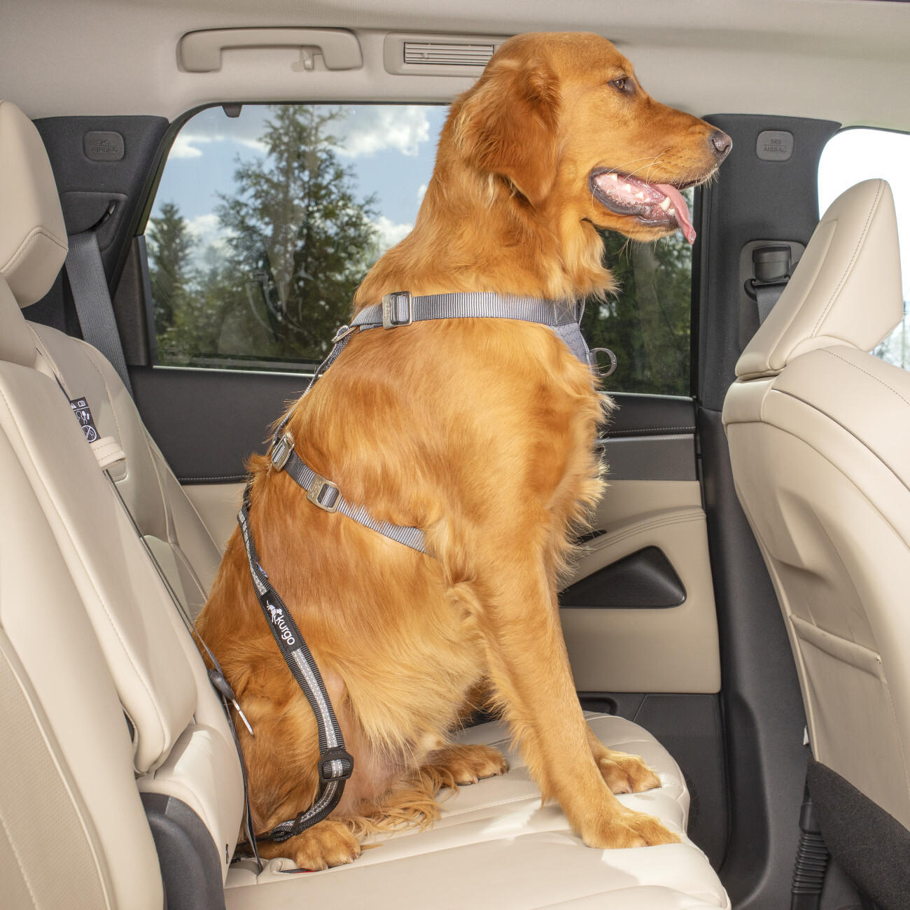 Kurgo Autozubehör Kurgo Auto-Sicherheitsgurt für Hunde mit Swivel Tether mit ISOFIX-Direktverbindung