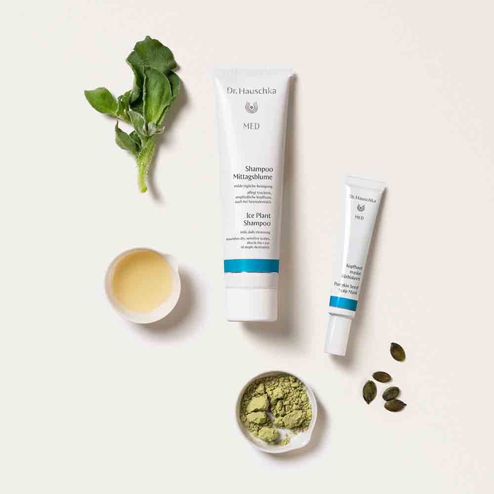 Dr. Hauschka Medizinische Pflege Kopfhautmaske Kürbiskern