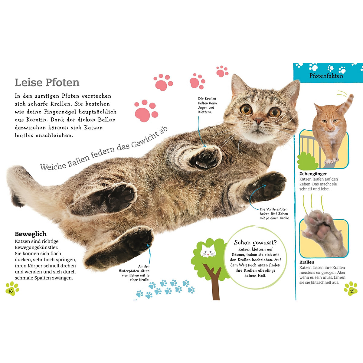Alles über deine Katze