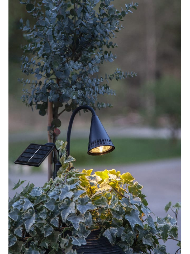 STAR Trading LED-Solar-Gartenstecker 
