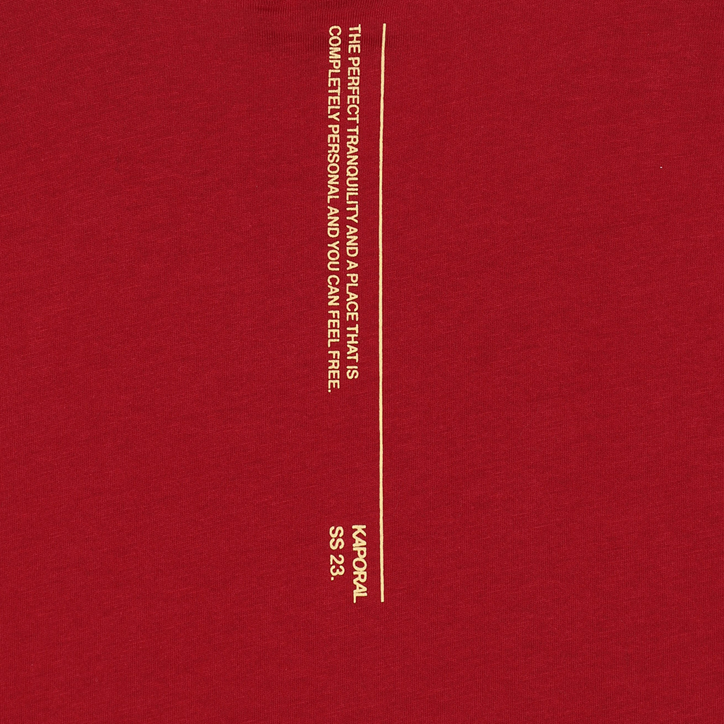 PIRGO  T-shirt rouge Garçon en 100% coton
