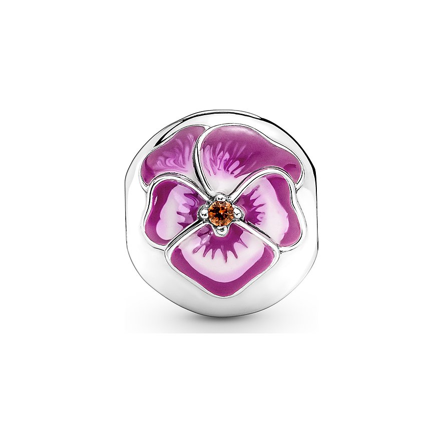 Pandora Charm Moments