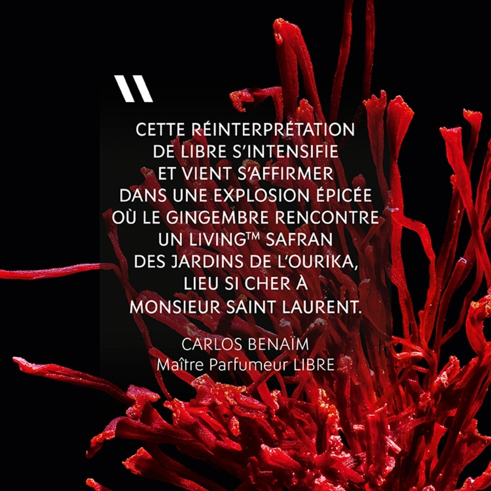 Yves Saint Laurent LIBRE LE PARFUM Parfum Vaporisateur