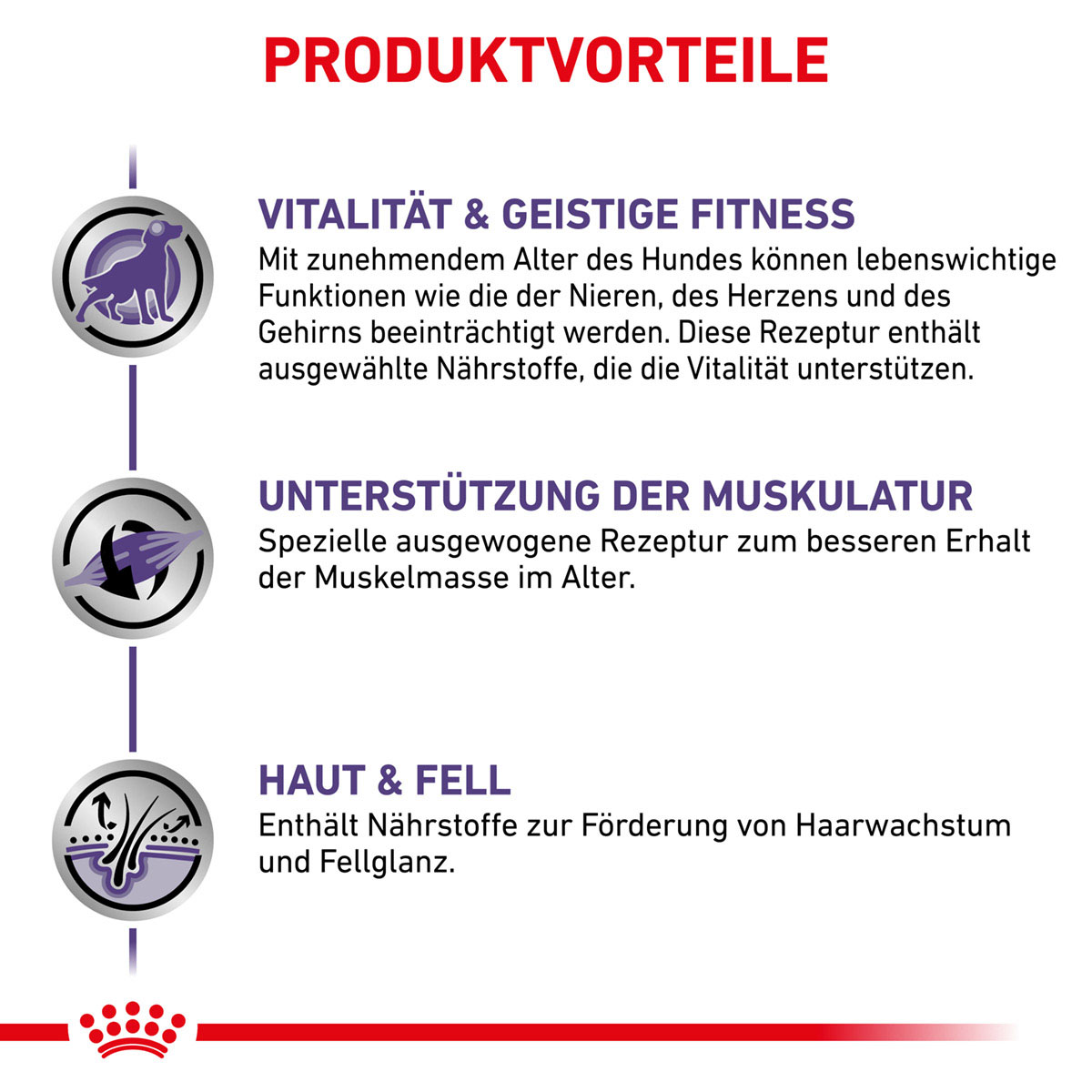 ROYAL CANIN Expert MATURE CONSULT MEDIUM DOGS Trockenfutter für Hunde
