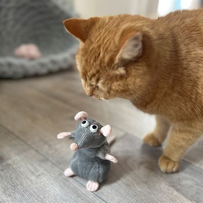 Aumüller Katzenspielzeug Ratte Cedric mit Baldrian