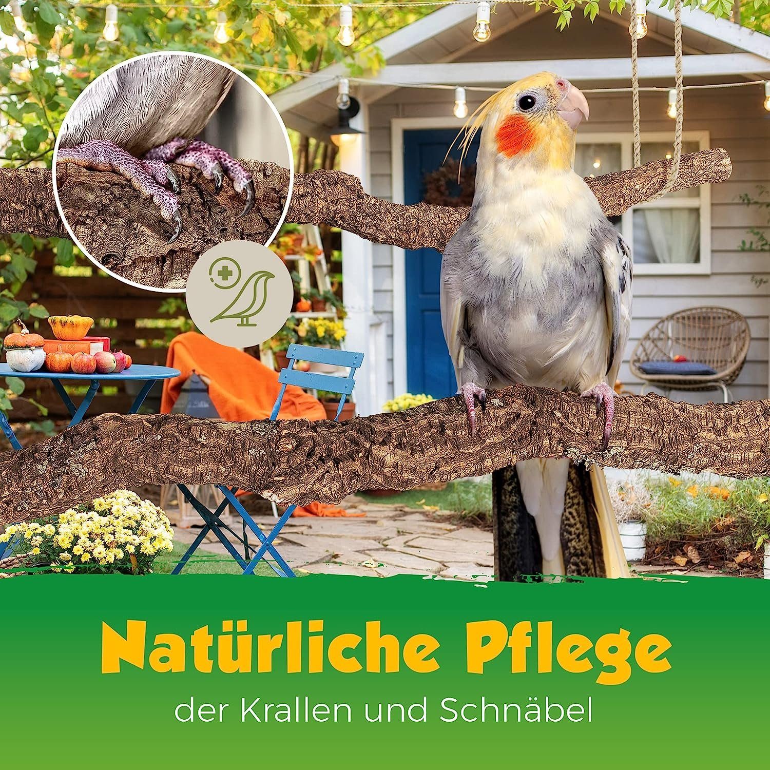Kork-Deko.de Terrariendeko Ast des Korkbaums (1m Länge) - hitzedesinfiziert und schädlingsfrei