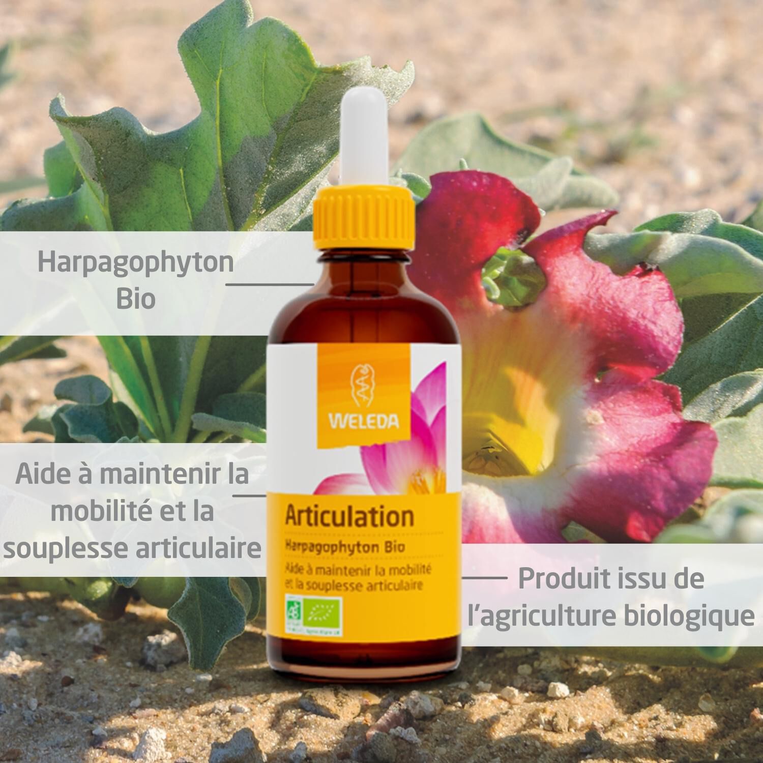 Weleda EPB® Harpagophyton Bio Articulation - Complément Alimentaire Naturel - 60 ml